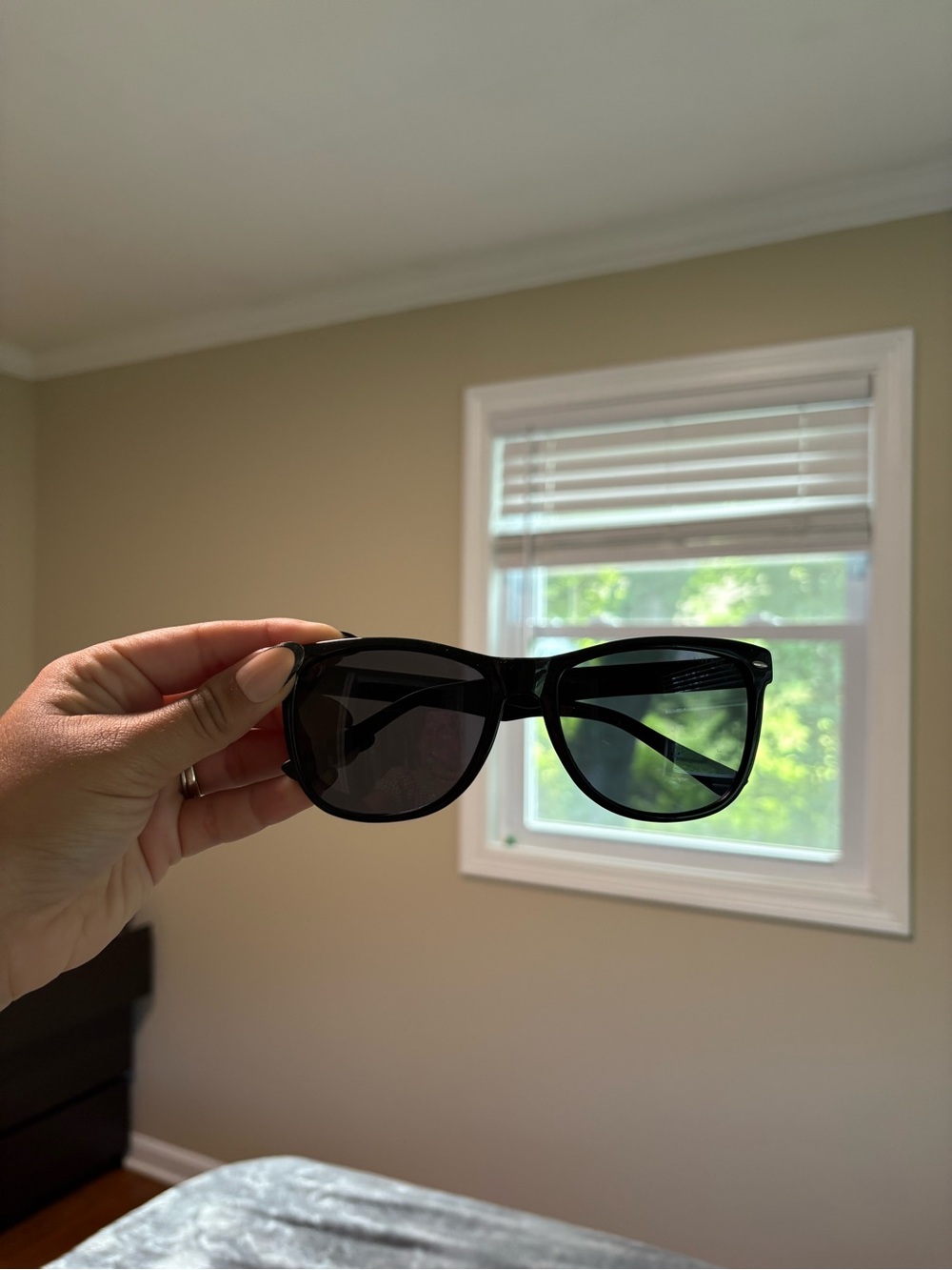 Tommy Hilfiger Black Women's Sunglasses